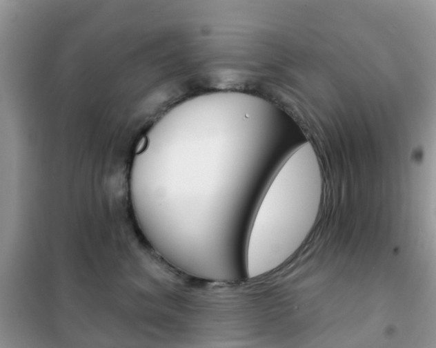 X0000102360620200808011000