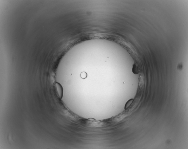 X0000102360621200808011000