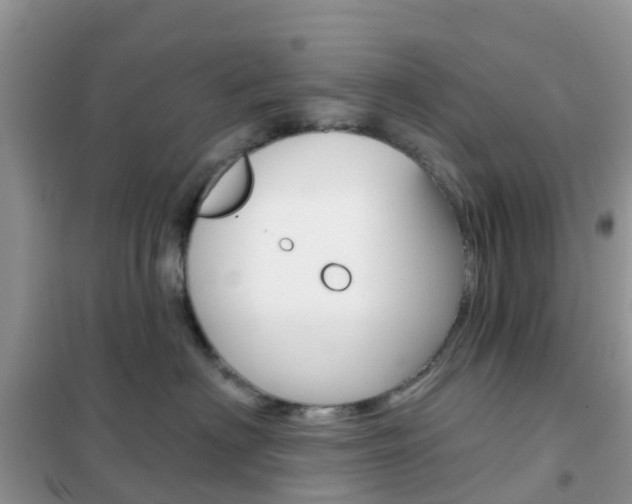 X0000102360622200808011000