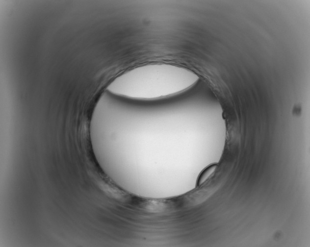 X0000102360623200808011000