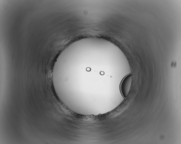 X0000102360624200808011000