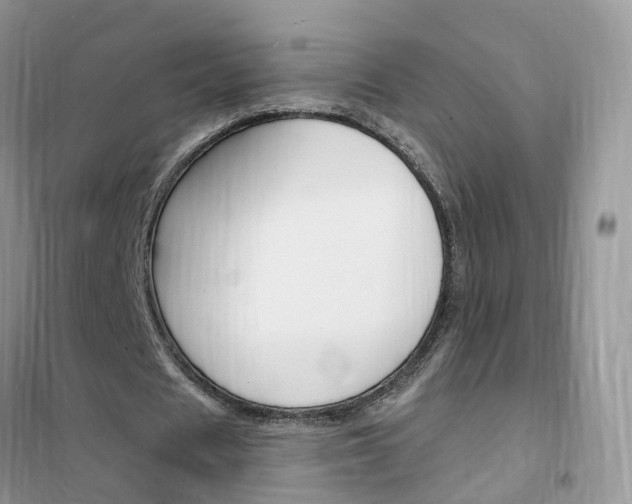 X0000102360625200808011000
