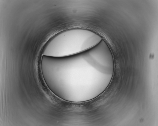 X0000102360626200808011000