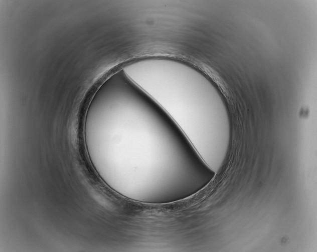 X0000102360627200808011000