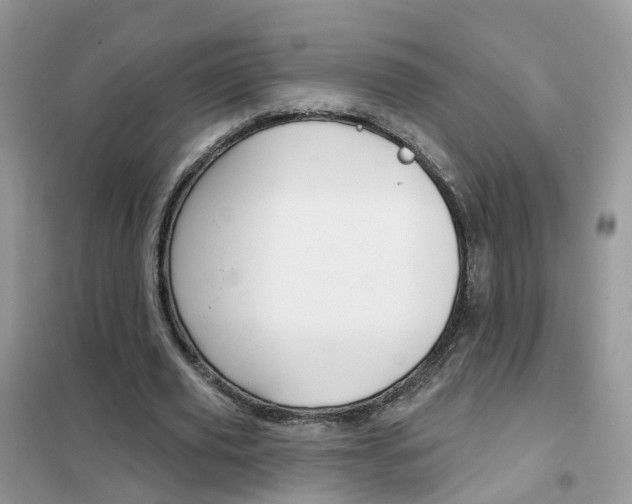 X0000102360629200808011000
