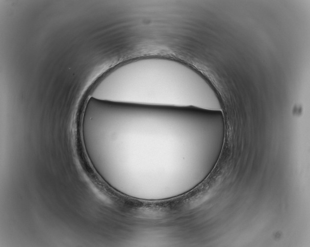 X0000102360630200808011000