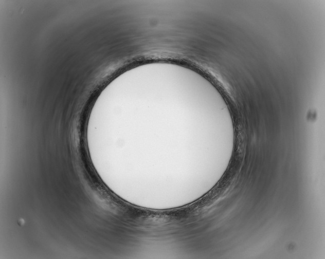 X0000102360631200808011000