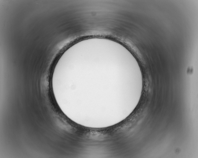 X0000102360632200808011000