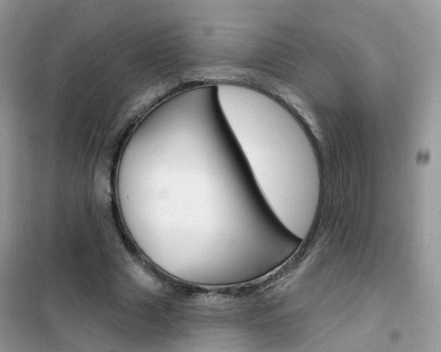 X0000102360633200808011000