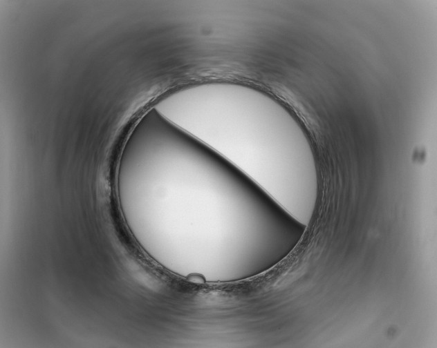 X0000102360634200808011000