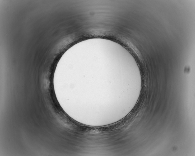 X0000102360635200808011000