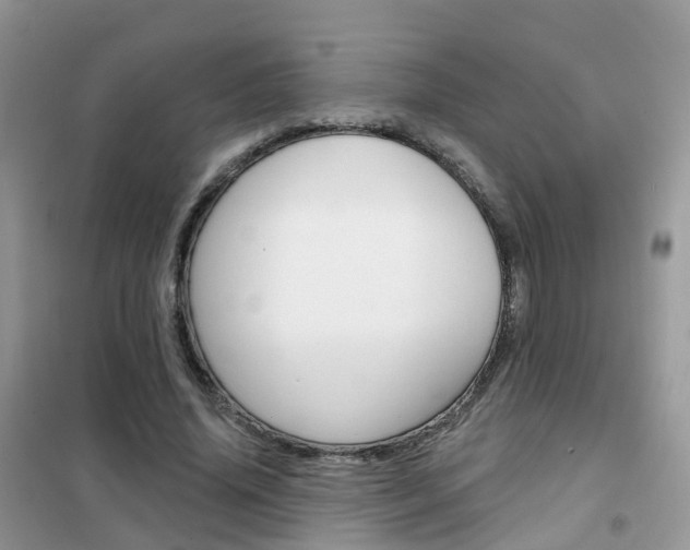 X0000102360636200808011000