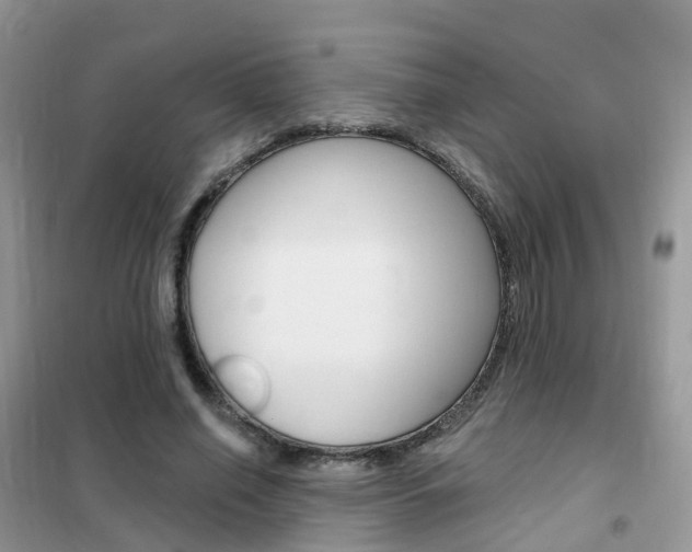 X0000102360638200808011000