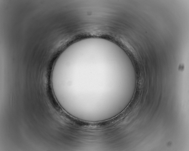 X0000102360639200808011000