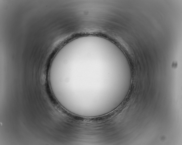 X0000102360640200808011000
