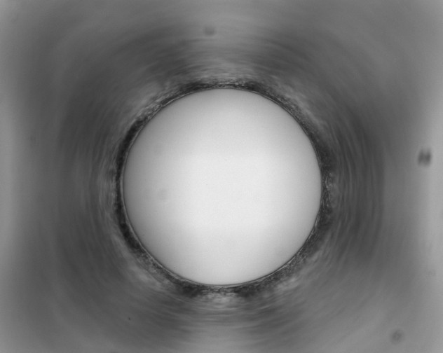 X0000102360642200808011000
