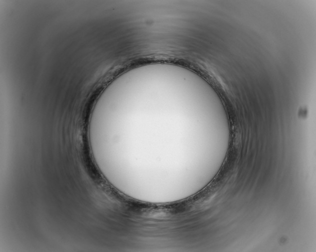 X0000102360643200808011000