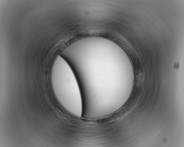 X0000102360644200808011000