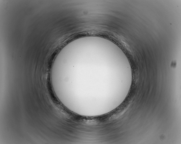 X0000102360645200808011000