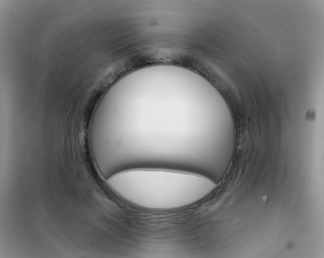 X0000102360646200808011000