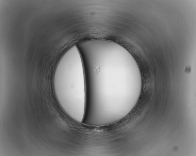 X0000102360647200808011000