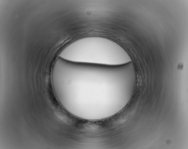 X0000102360648200808011000