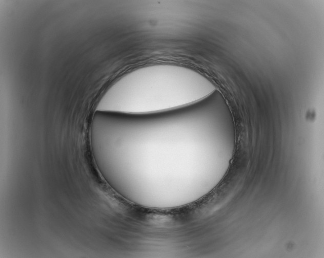 X0000102360649200808011000