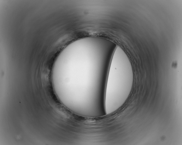 X0000102360650200808011000