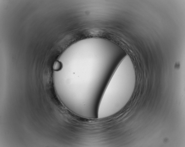 X0000102360651200808011000