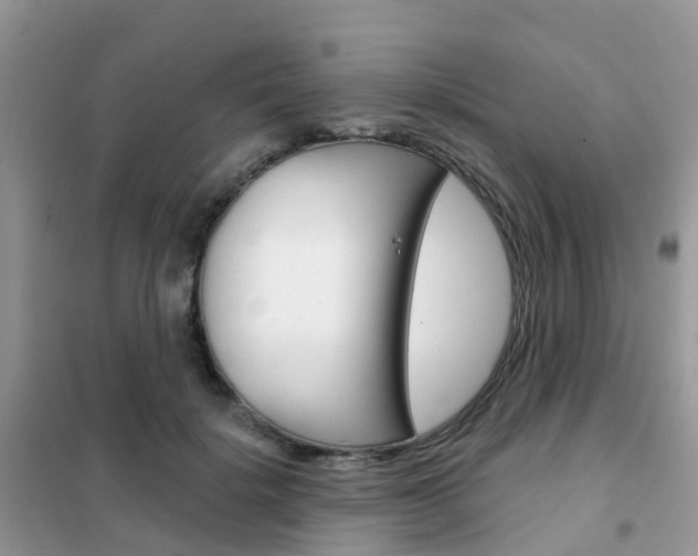 X0000102360652200808011000