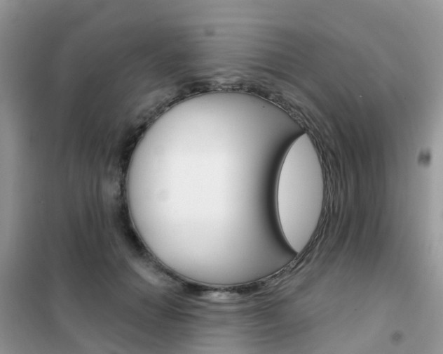 X0000102360654200808011000