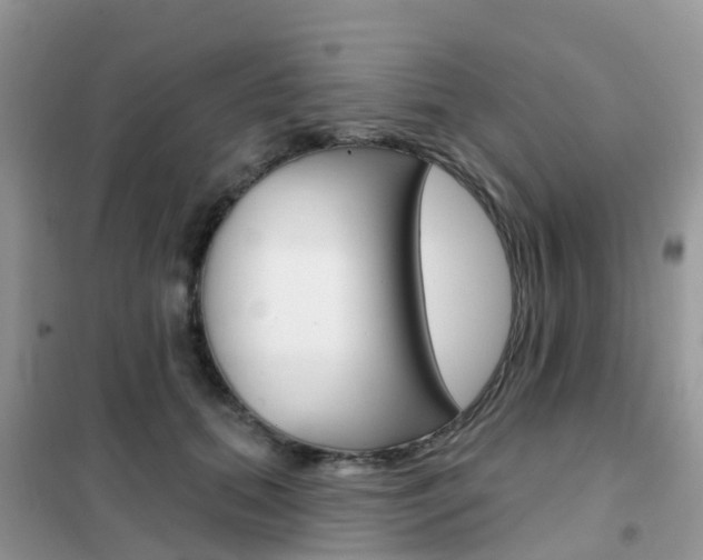 X0000102360655200808011000