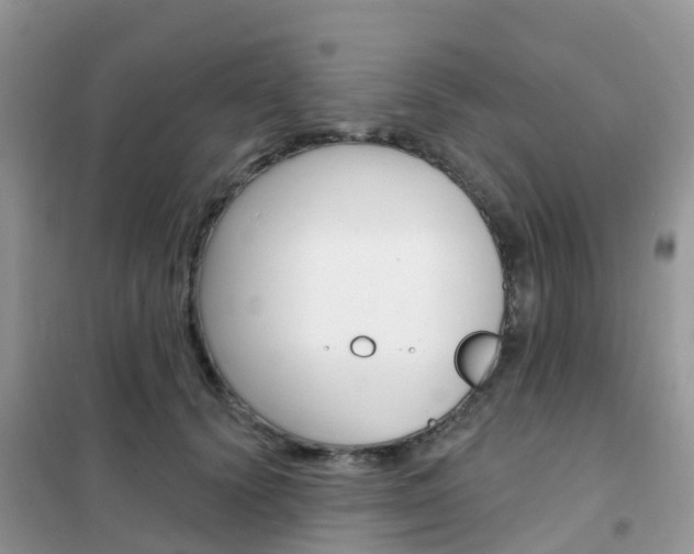 X0000102360656200808011000