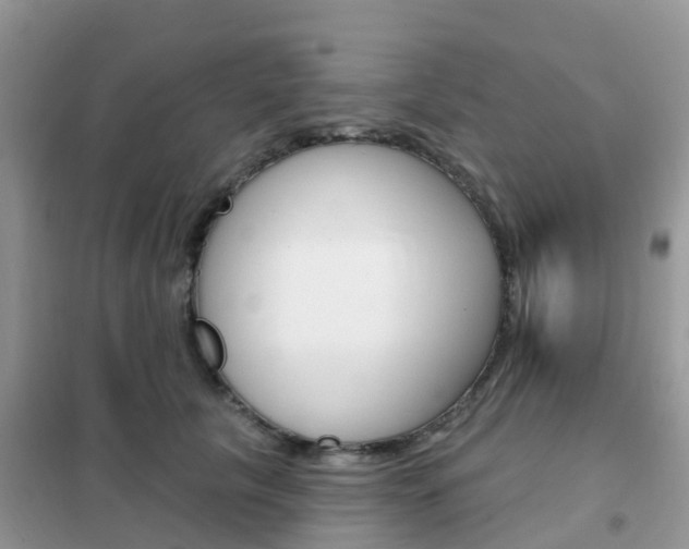 X0000102360657200808011000