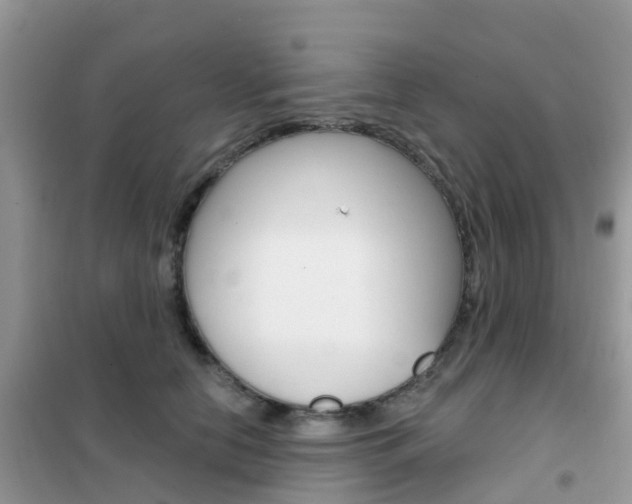 X0000102360658200808011000