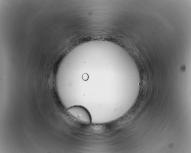 X0000102360659200808011000