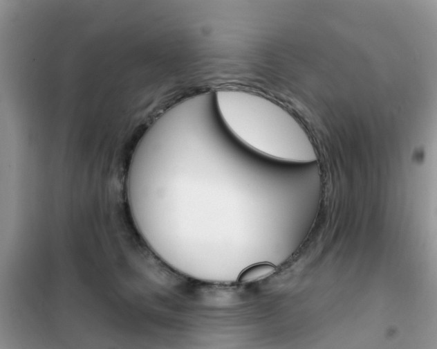 X0000102360661200808011000