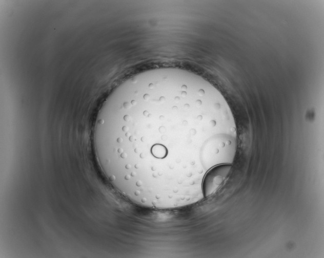 X0000102360662200808011000