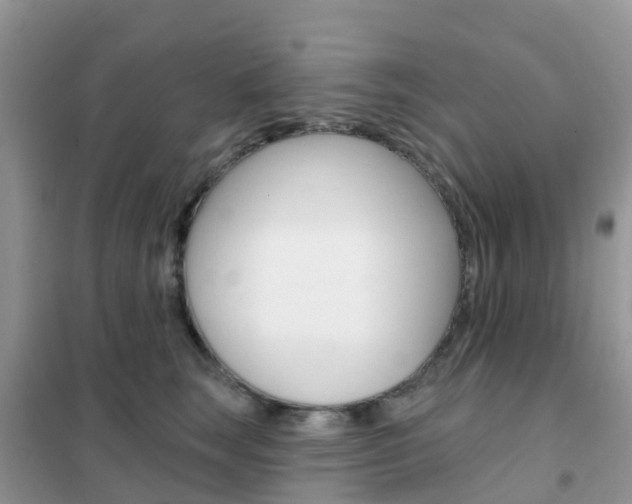 X0000102360663200808011000