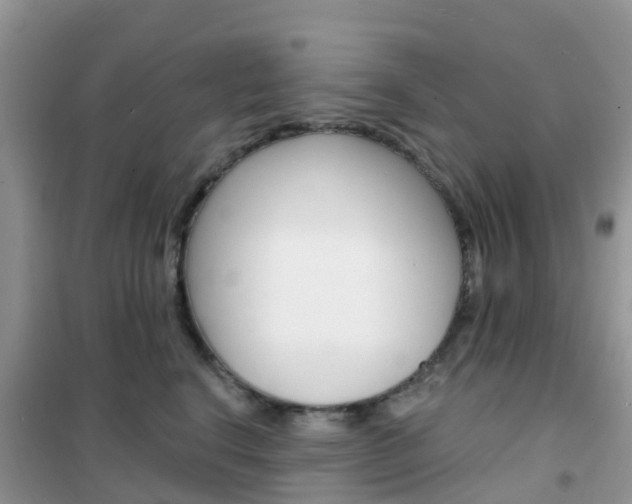 X0000102360664200808011000