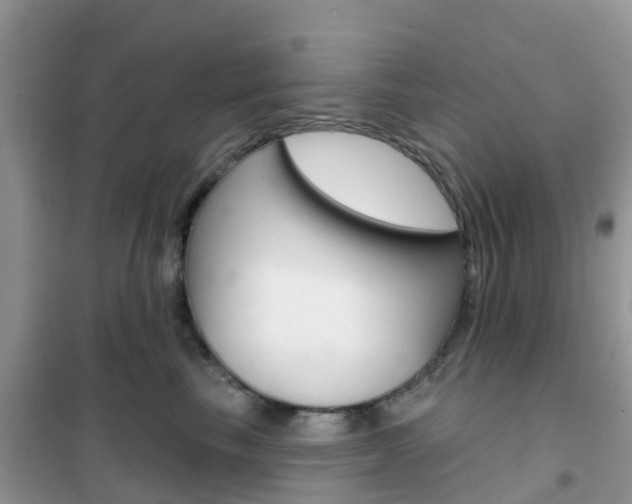 X0000102360665200808011000