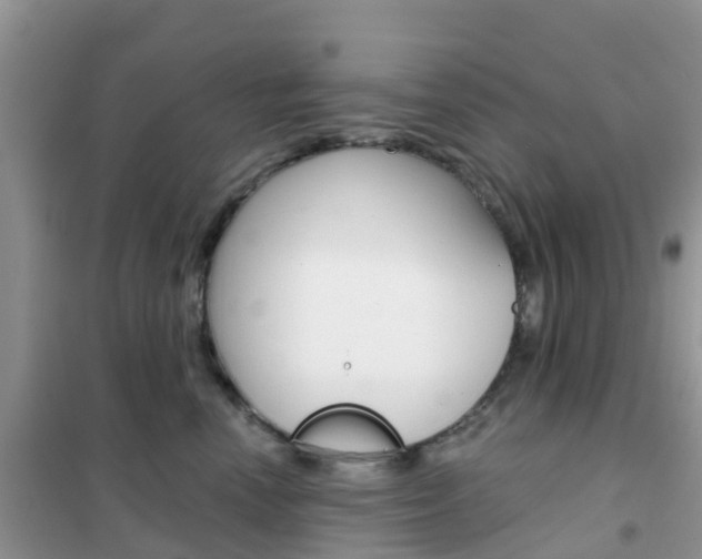 X0000102360666200808011000