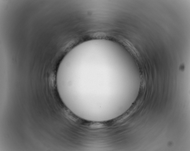X0000102360669200808011000