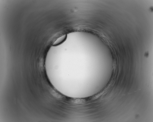X0000102360670200808011000