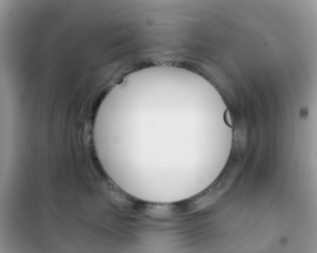 X0000102360671200808011000