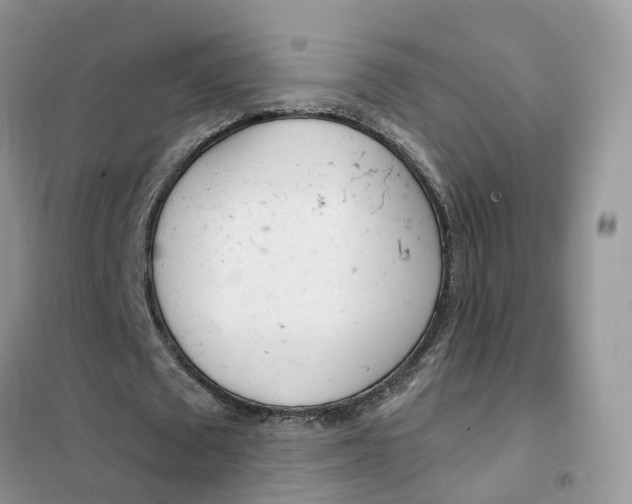 X0000102360673200808011000