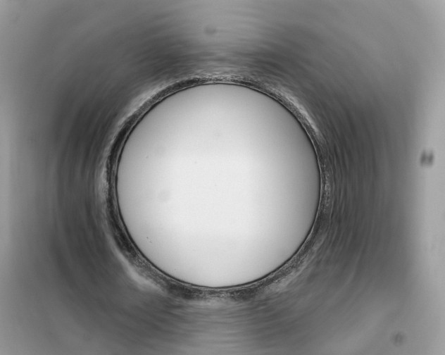 X0000102360674200808011000