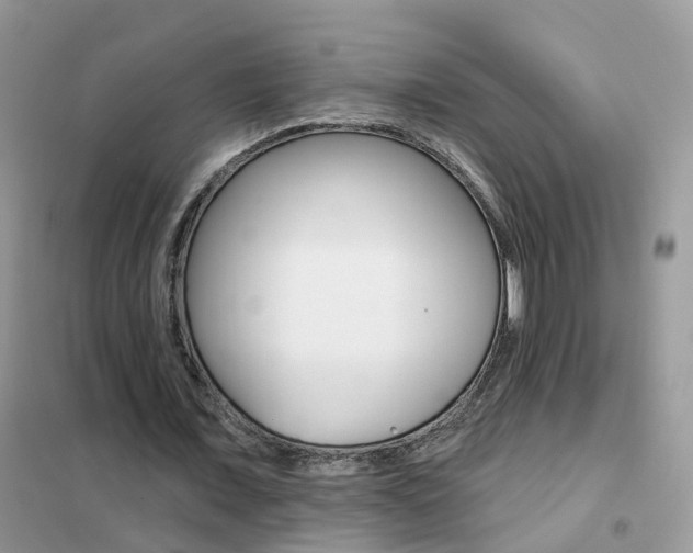 X0000102360675200808011000