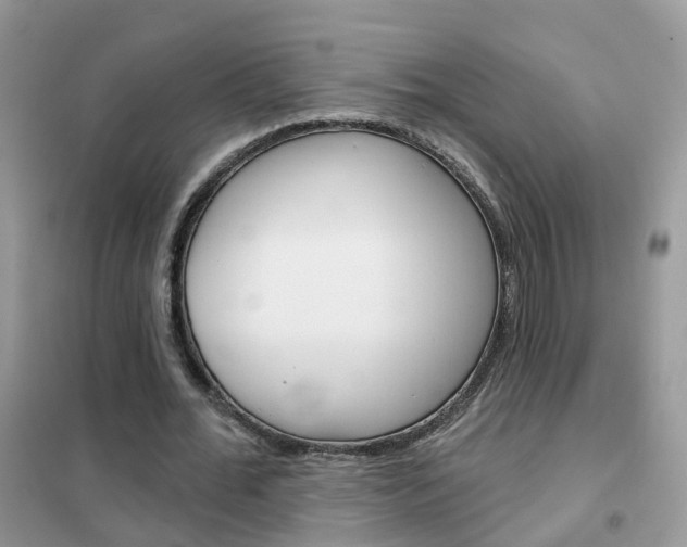 X0000102360676200808011000
