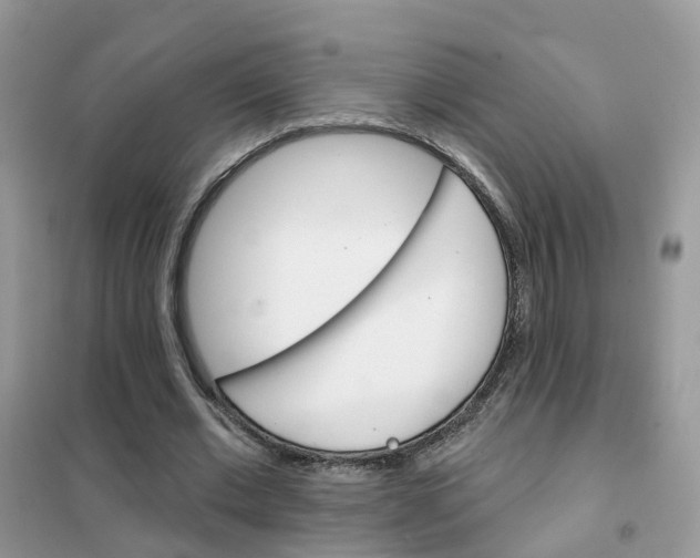 X0000102360677200808011000